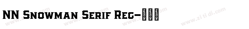 NN Snowman Serif Reg字体转换